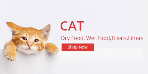 Pet Shop In Pakistan