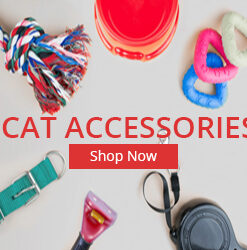 Cat Accessories