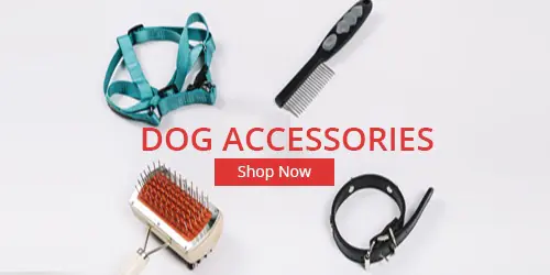 dog accessories