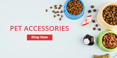 pet accessories 1