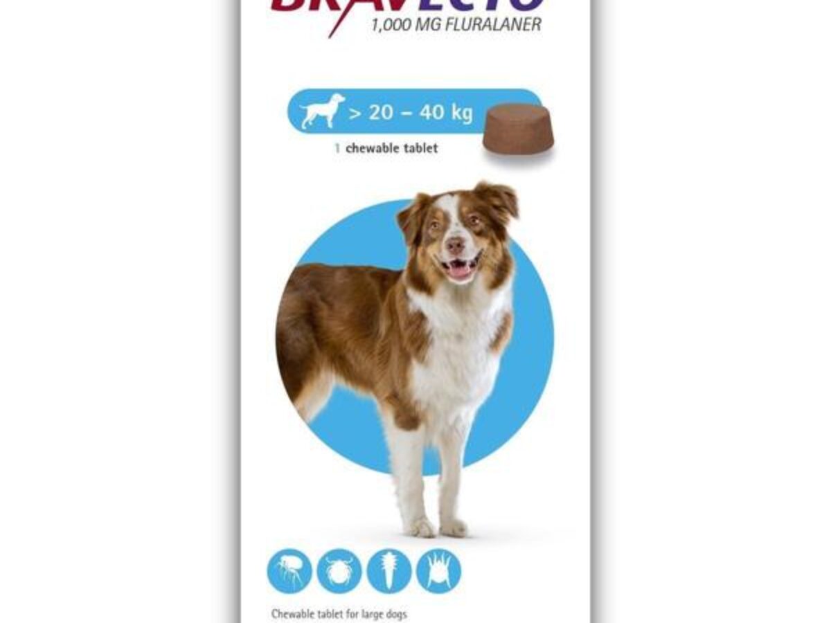 Buy Bravecto Tablet for Dogs at Best Price in India