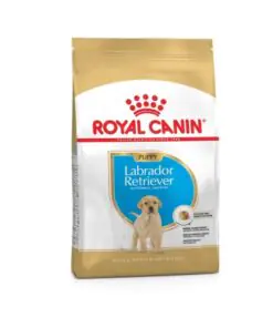 Royal Canin Labrador Retriever Puppy