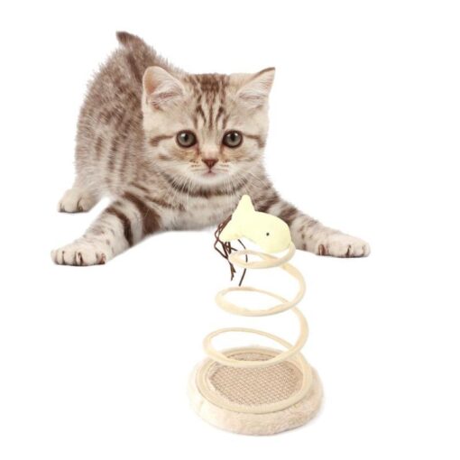 Cat Spring Scratcher Toy