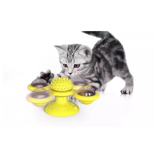 Fidget Cat Toy With Light and Catnip Ball