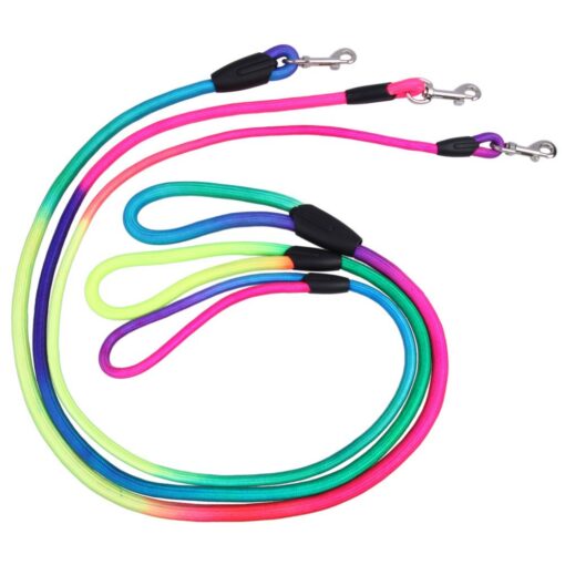 Multi Colour Leash for Cats and Dogs