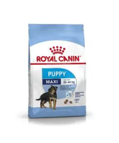 Royal Canin Maxi Puppy