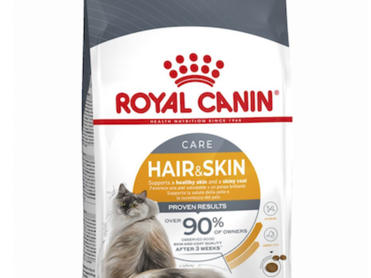 Royal Canin Hair And Skin Cat Food Best Price in Pakistan The Pet Shop