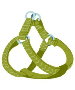 Cat Harness and Leashes