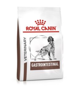 Royal Canin Gastrointestinal Adult Dry Dog Food