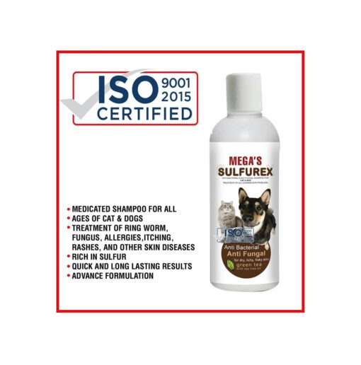 Sulfurex Anti Bacterial & Anti Fungal Shampoo